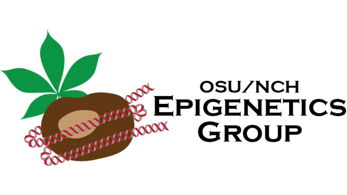 OSU/NCH Epigenetics Group (ONEg) tweet media