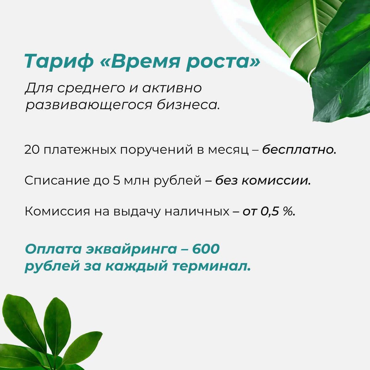 PrimBankRu's tweet image. Для среднего бизнеса – тариф «Время роста». По этому тарифу клиенты могут проводить до 20 платежных поручений в месяц бесплатно. Комиссия на снятие наличных – от 0,5 % в зависимости от суммы.