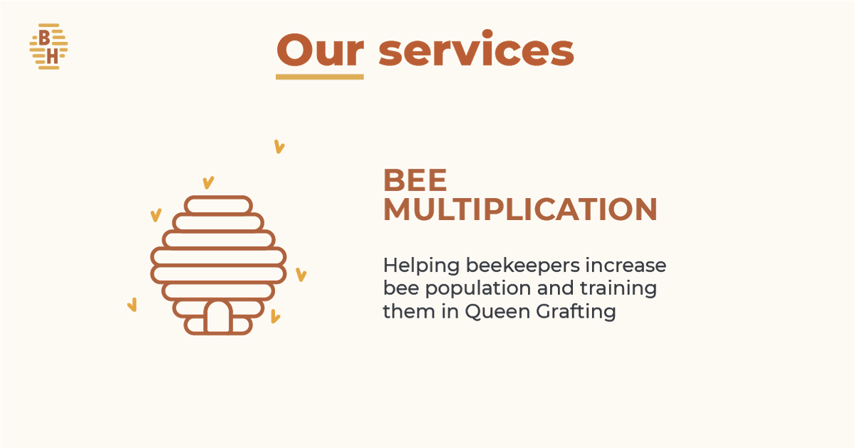 BeehivelyG's tweet photo. Bee multiplication or colony multiplication refers to the creation of new colonies with a young mated queen and brood and bees. 
Learn more at https://t.co/dGqSodpFrT
#beehivelygroup #realhoney #apiary https://t.co/b2bBdyPZrX