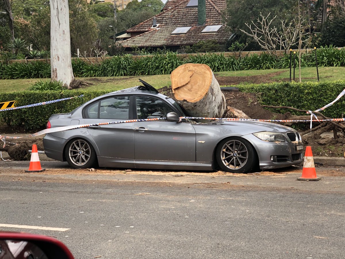 Peter_Fitz's tweet image. Spofforth St Cremorne this morning after very windy Sydney night. As far as I know, no-one hurt