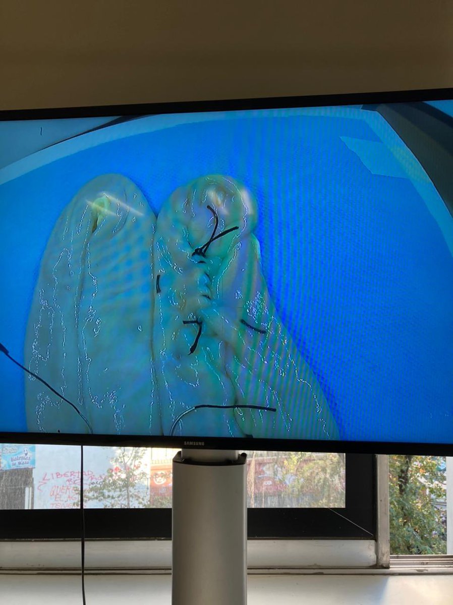 Fran Belmar (@franbelmar93) on Twitter photo Only one week left until <a href="/SAGES_Updates/">SAGES is in Tampa in 2026!</a> and this is just a sneak peak of what we can do in our awesome learning center ๐๐ฝ๐๐ฝ๐๐ฝ Only one week left until <a href="/SAGES_Updates/">SAGES is in Tampa in 2026!</a> and this is just a sneak peak of what we can do in our awesome learning center ๐๐ฝ๐๐ฝ๐๐ฝ