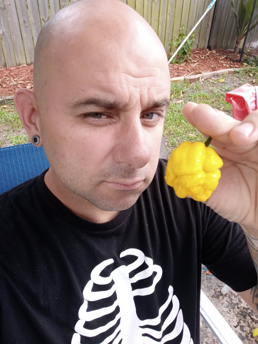 ForPeppers's tweet photo. Got an ouch fruit to review from 
https://t.co/fUAOeGaiSy

Come visit me on youtube tonight to see me try to defeat this giant. Thanks so much for watching Peppers For Christ and Godbless!
-Kiki

#Earlsghost #PeppersForChrist
#Morugascorpion https://t.co/92tVN6z5pO