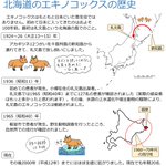 もともと北海道にはエキノコックスは存在しなかった!その悲しい歴史の全貌!