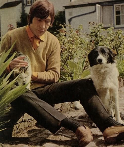 Diane Doniol-Valcroze tweet media