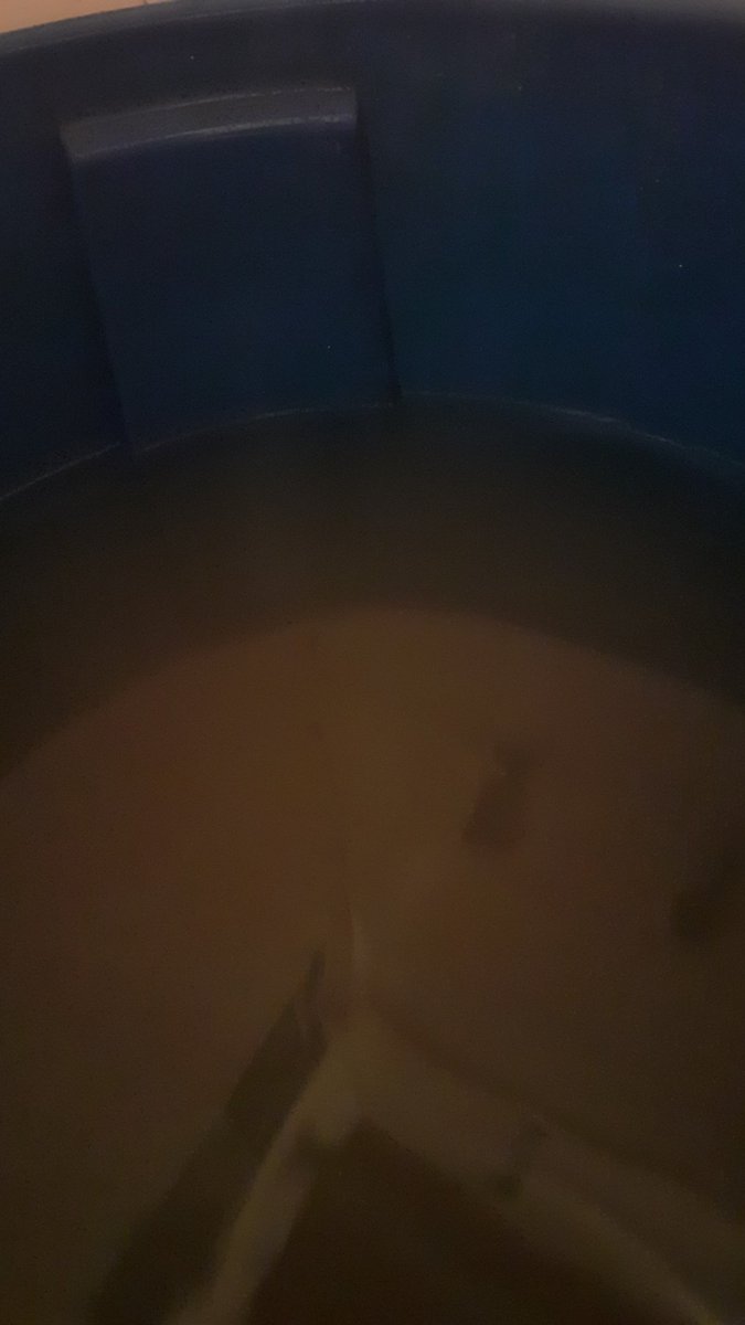 NavarroYoleida's tweet photo. Después de esperar por el preciado líquido 45 días , miren que belleza agua de charco ..de verdad esto es inaguantable!!! https://t.co/qfd0BlgPd8