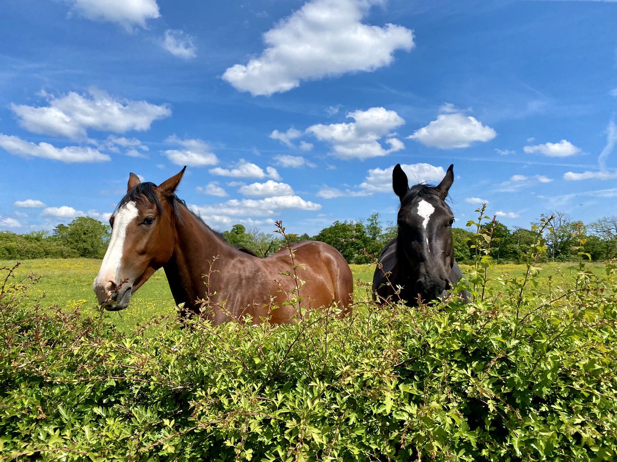 VBC Photography tweet media