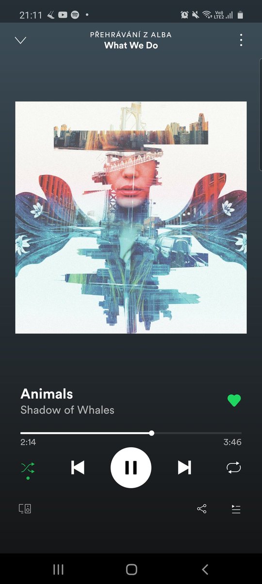 Bold of u to assume I will  ever stop loving this band <a href="/ShadowOfWhales/">\\\Shadow of Whales\\\</a>