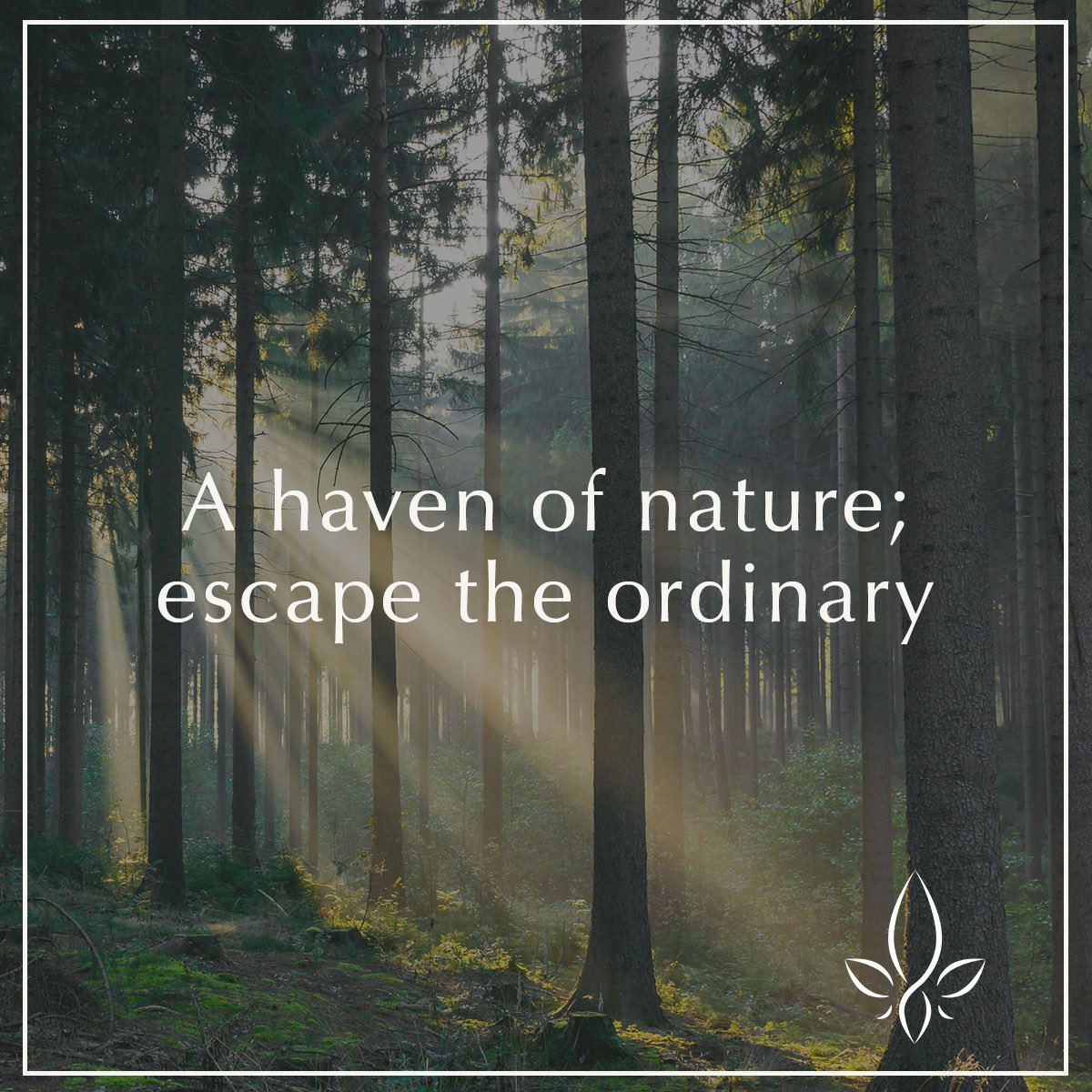 A haven of nature; 
escape the ordinary

Get to know us better
👉 linktr.ee/Murrayshall

#escapetheordinary #perthshire #countryestate #brandevolution