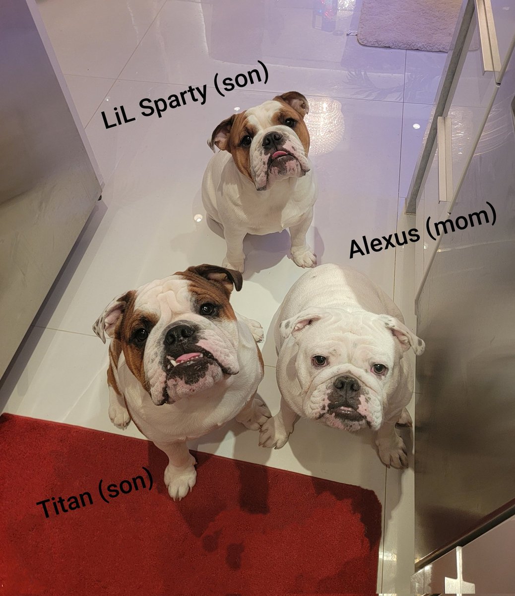 We always roll as a group.. Maximus,our dad,is not too far behind he is just is always taking naps