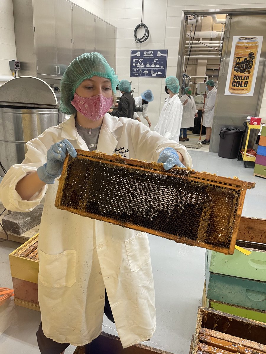 Senay Simsek (@ssimsek22) on Twitter photo Exciting day at Purdue Food Science Pilot plant! Production of “Boiler Bee Honey” is in progress. “Sweet” collaboration between Purdue Food Science and Entomology! Exciting day at Purdue Food Science Pilot plant! Production of “Boiler Bee Honey” is in progress. “Sweet” collaboration between Purdue Food Science and Entomology!