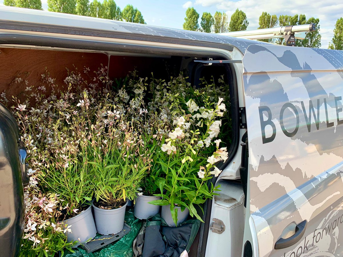 Tagging &amp; Bagging:
Sourcing plants in Herts for a project.
Thanks to Steve &amp; Wendy <a href="/RochfordGardens/">Rochfords</a>