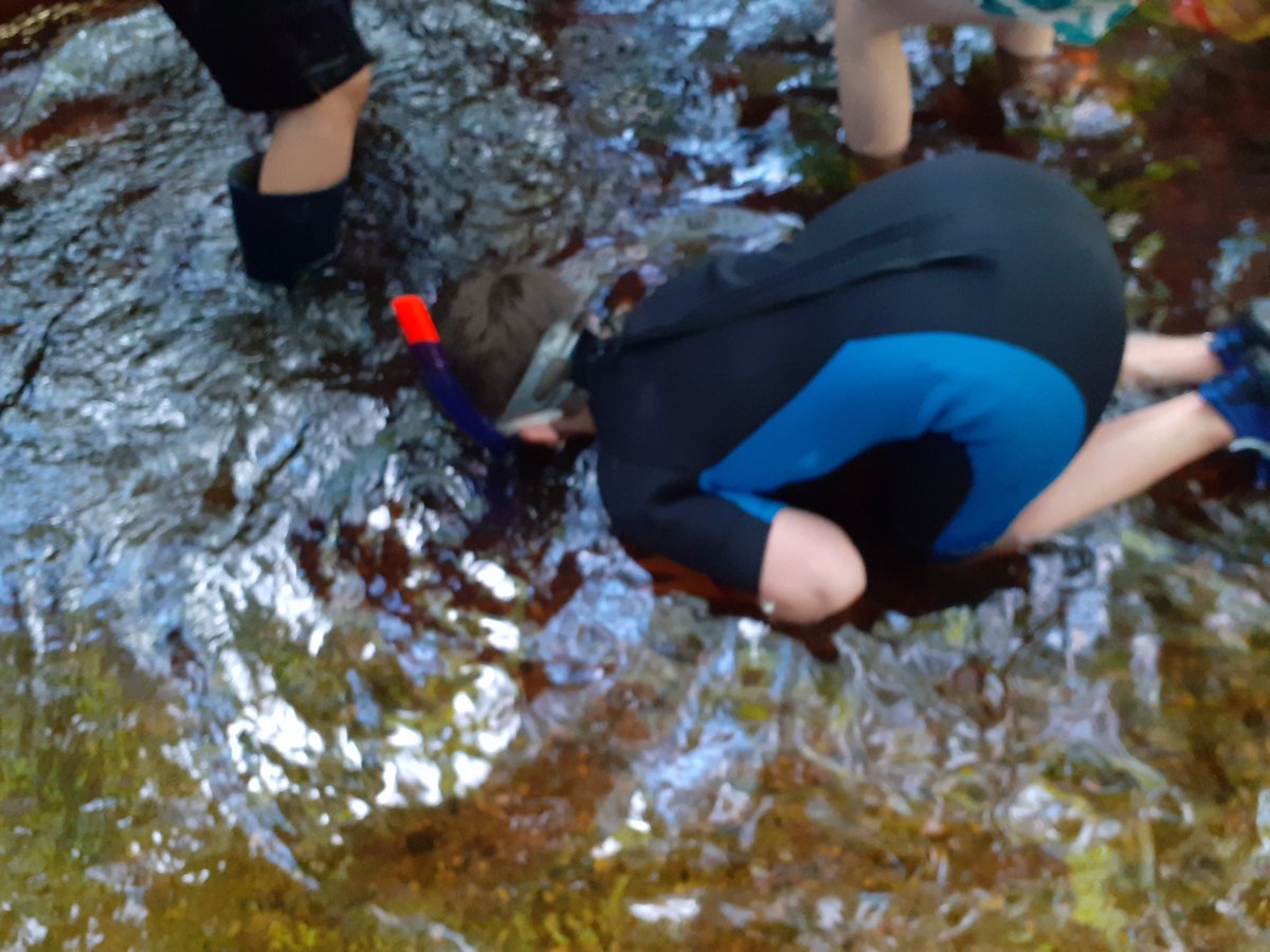 JimDay22857614's tweet photo. And this is what a #BlashfordLakes #WildDayOut river dip looks like 🤣
Soooooo good to be running them again after such a long time not doing so...
Just love it!
@hantsiwwildlife
@wessexwater
@swlakes https://t.co/PAloDlPWlI