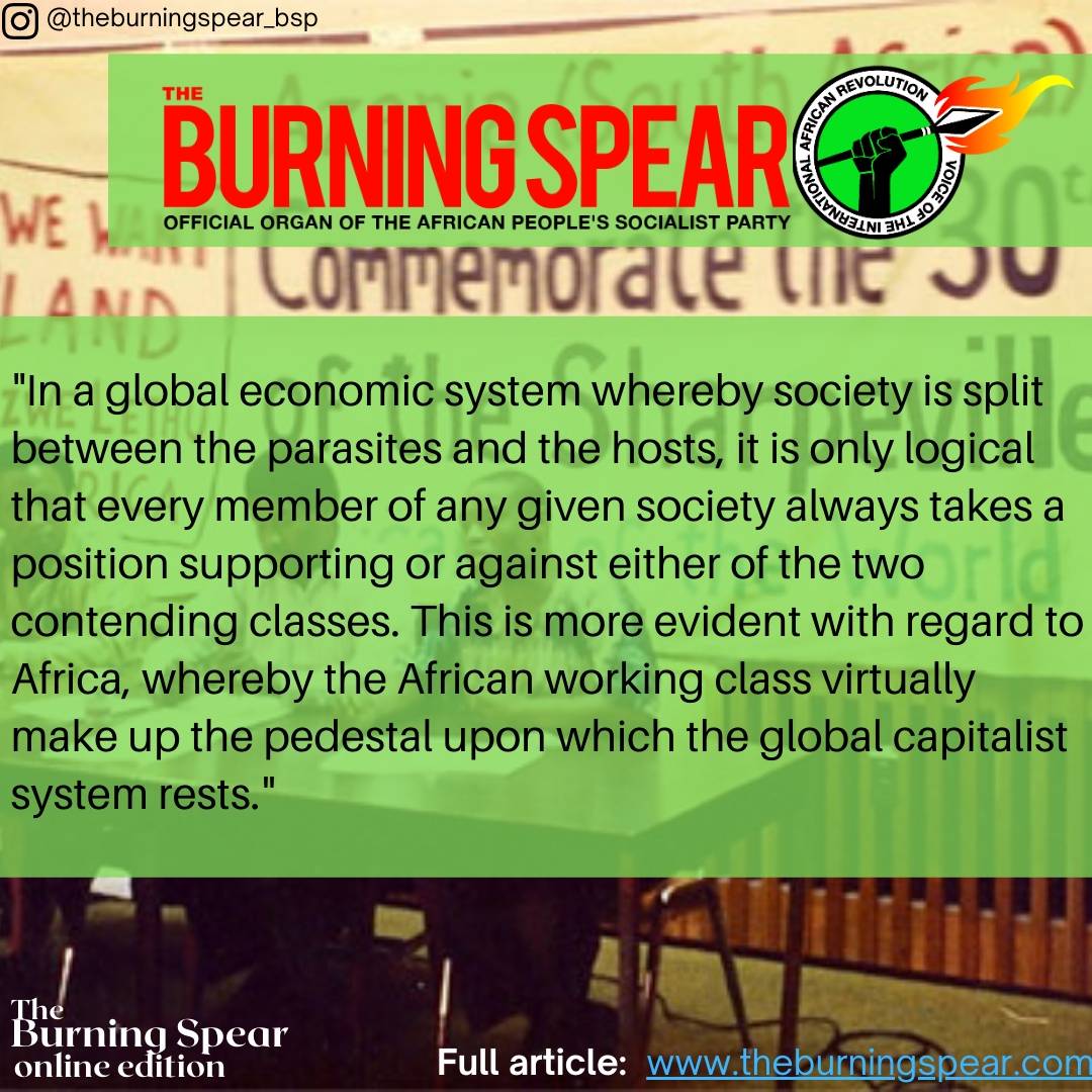 Tafarie Mugeri, Chair of APSP - Occupied Azania, on the class interests presented by the Pan-African Parliament and the need for the African Socialist International. theburningspear.com/2021/08/Chaos-…