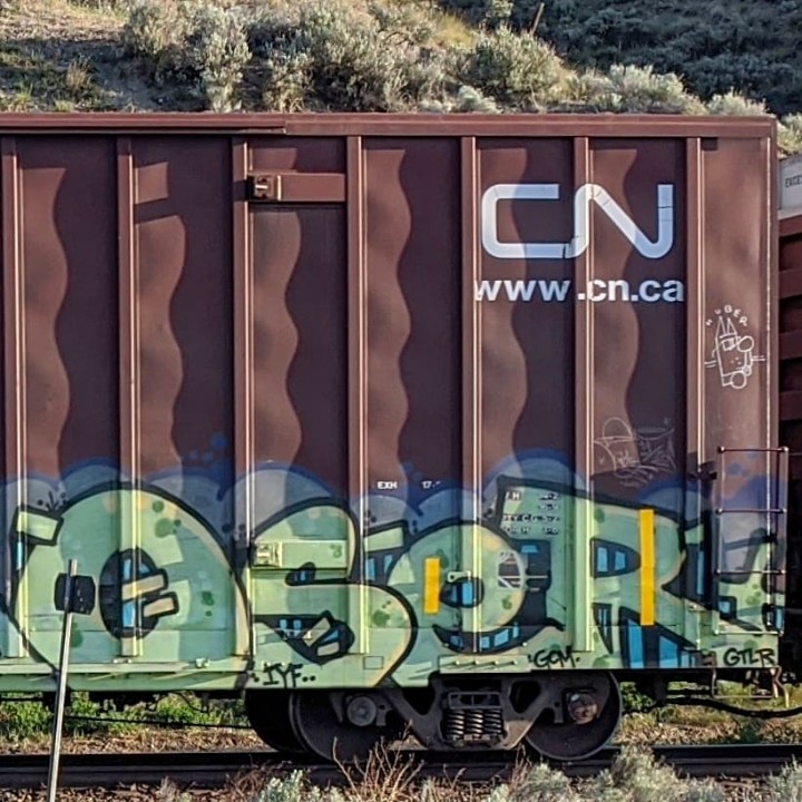 GraffitiExpress's tweet photo. deal dcer oser
#kamloops #train #graffiti #art 
#deal #dcer #oser https://t.co/H1mP6ae2pK