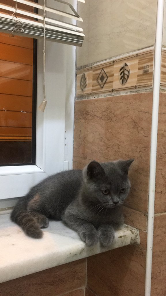 bi anda modum düşmüştür