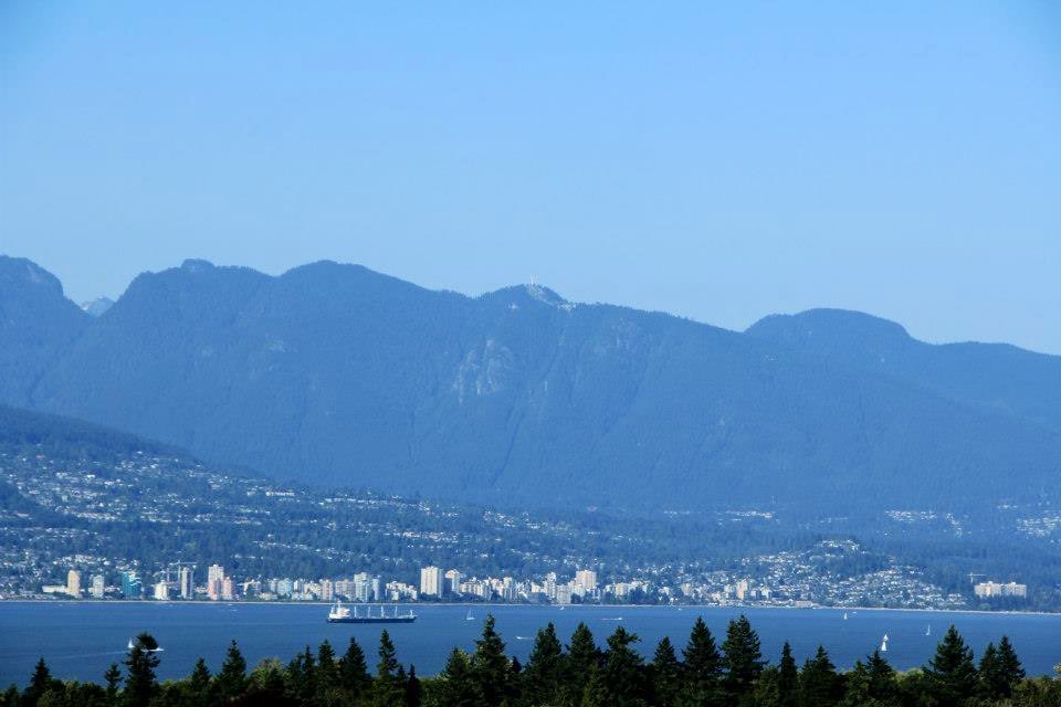 katie o'donnell tweet media