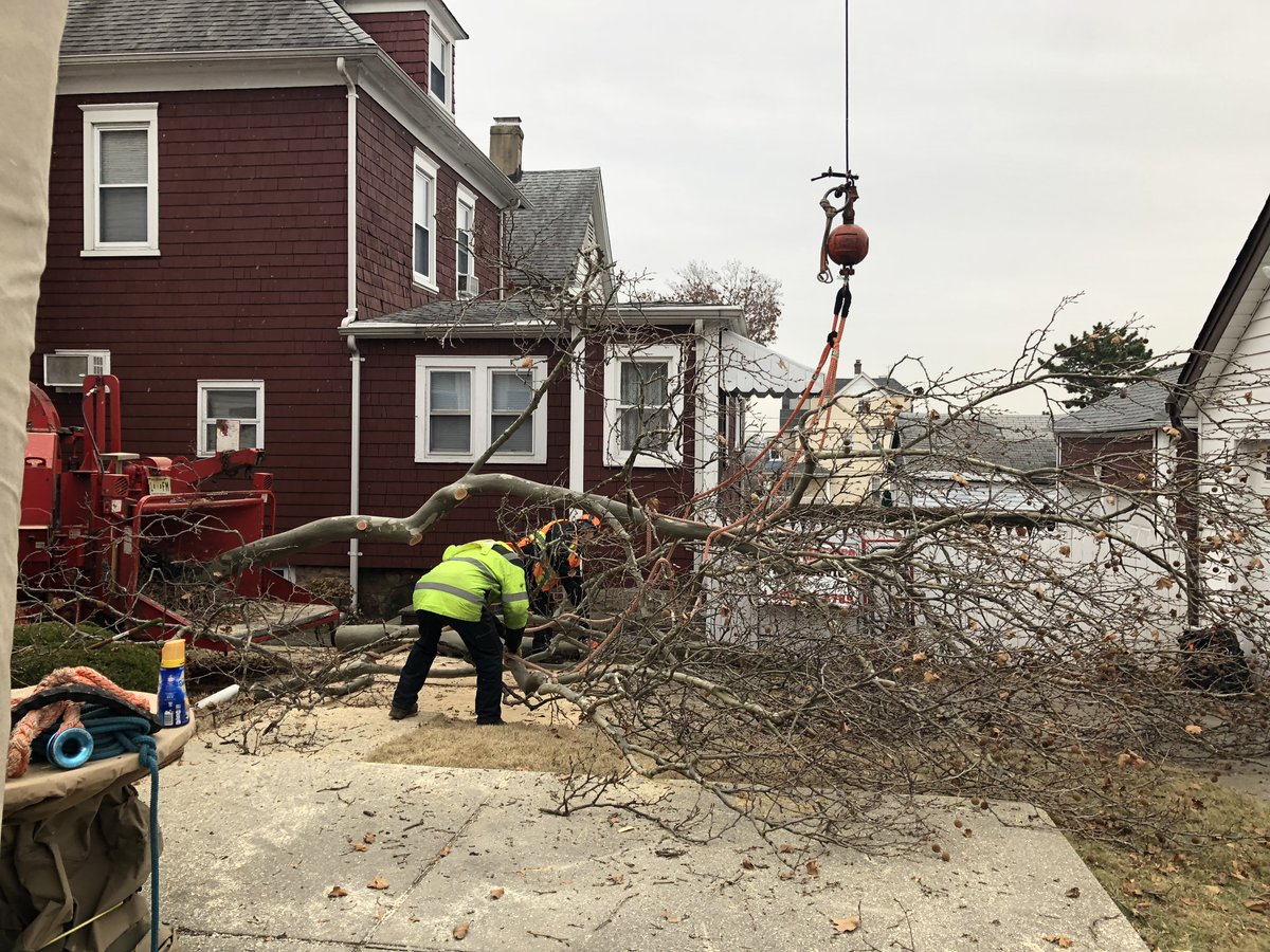 UMTreeService's tweet image. Tree Removal Service in NJ
For a free estimate contact us at (201) 991-1904.

#TreeRemovalServices #TreeRemovalServicesNJ #TreeRemovalServiceNJ #TreeRemovalServiceExperts #TreeRemoval #TreeRemovalNJ