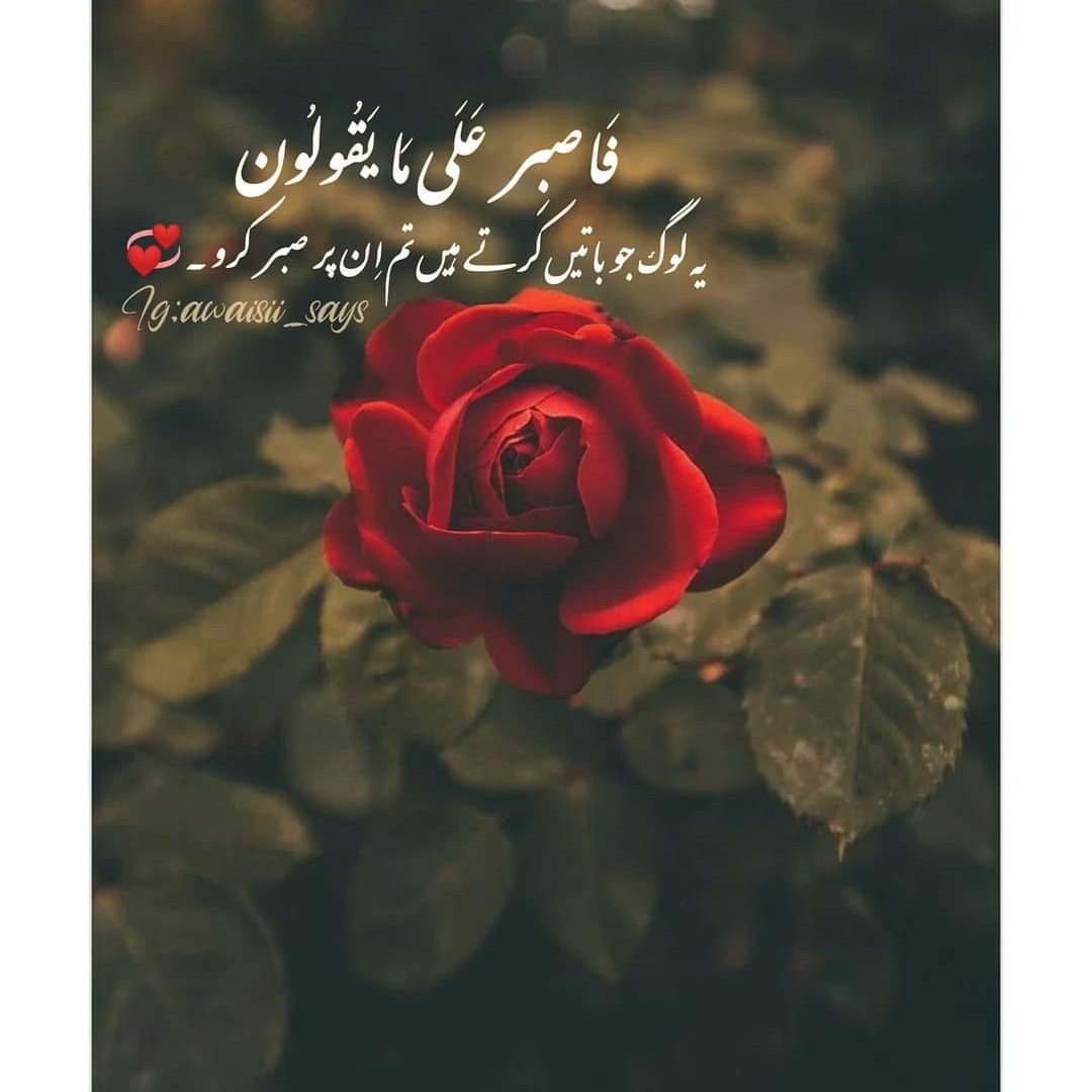 Beshak hr mushkil k Sath asaank h or sbr Krne waloun m sath mera Rab h ❤️