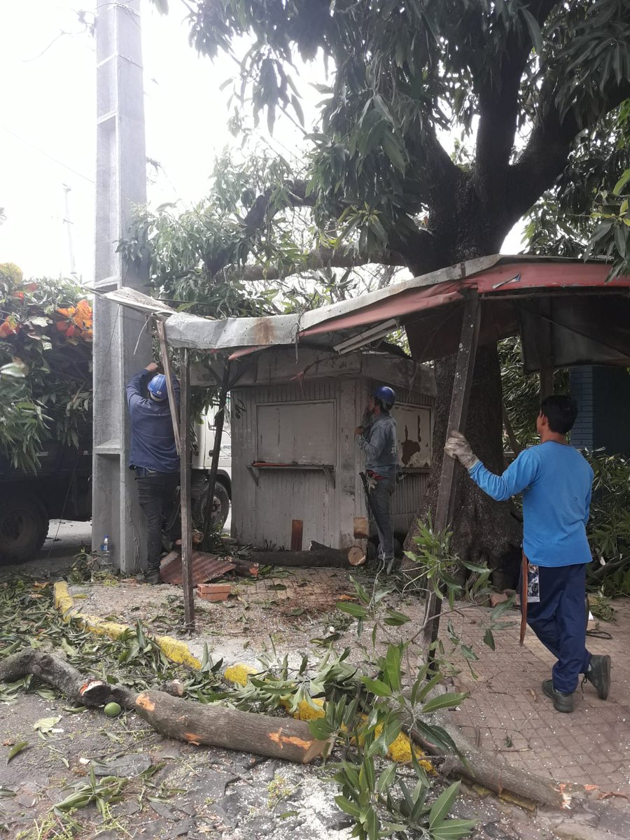 jjimenezd_'s tweet photo. Gente de ANDE corto árboles que rodean a los cables y ni se les ocurrió venir a limpiar, además de haber echado una casillita. Comandante Gamarra esq. Dr Mazzei. Barrio Dr. Francia. Porfa ayuden a que vengan a limpiar.. @ANDEOficial @chichecorte @nenechopy @Juanctpy @CadaDiaSNT https://t.co/DJojYZNmRo
