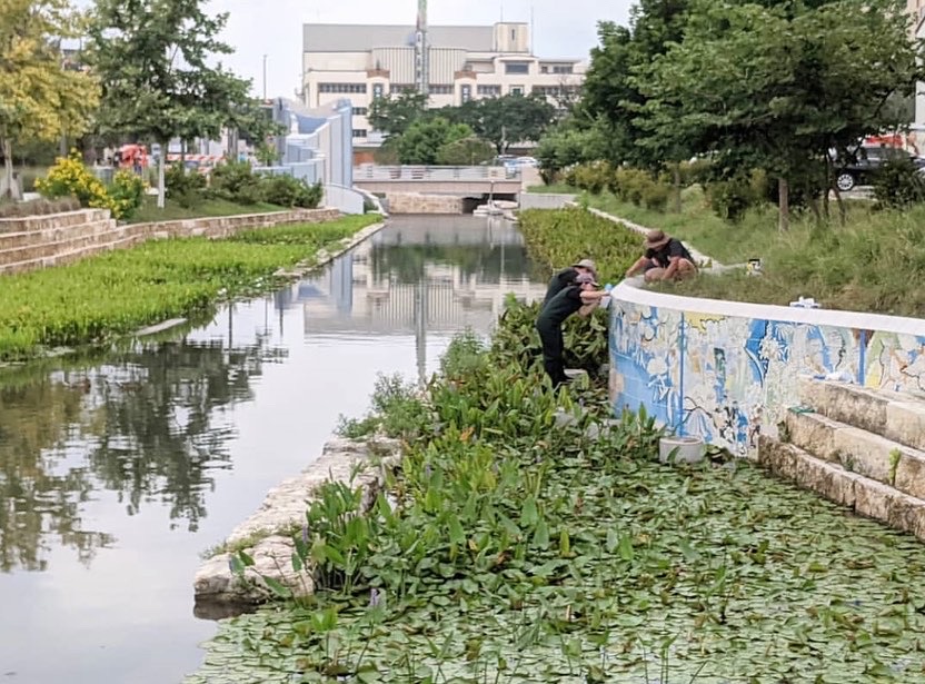 Vault Fine Art Services tweet media