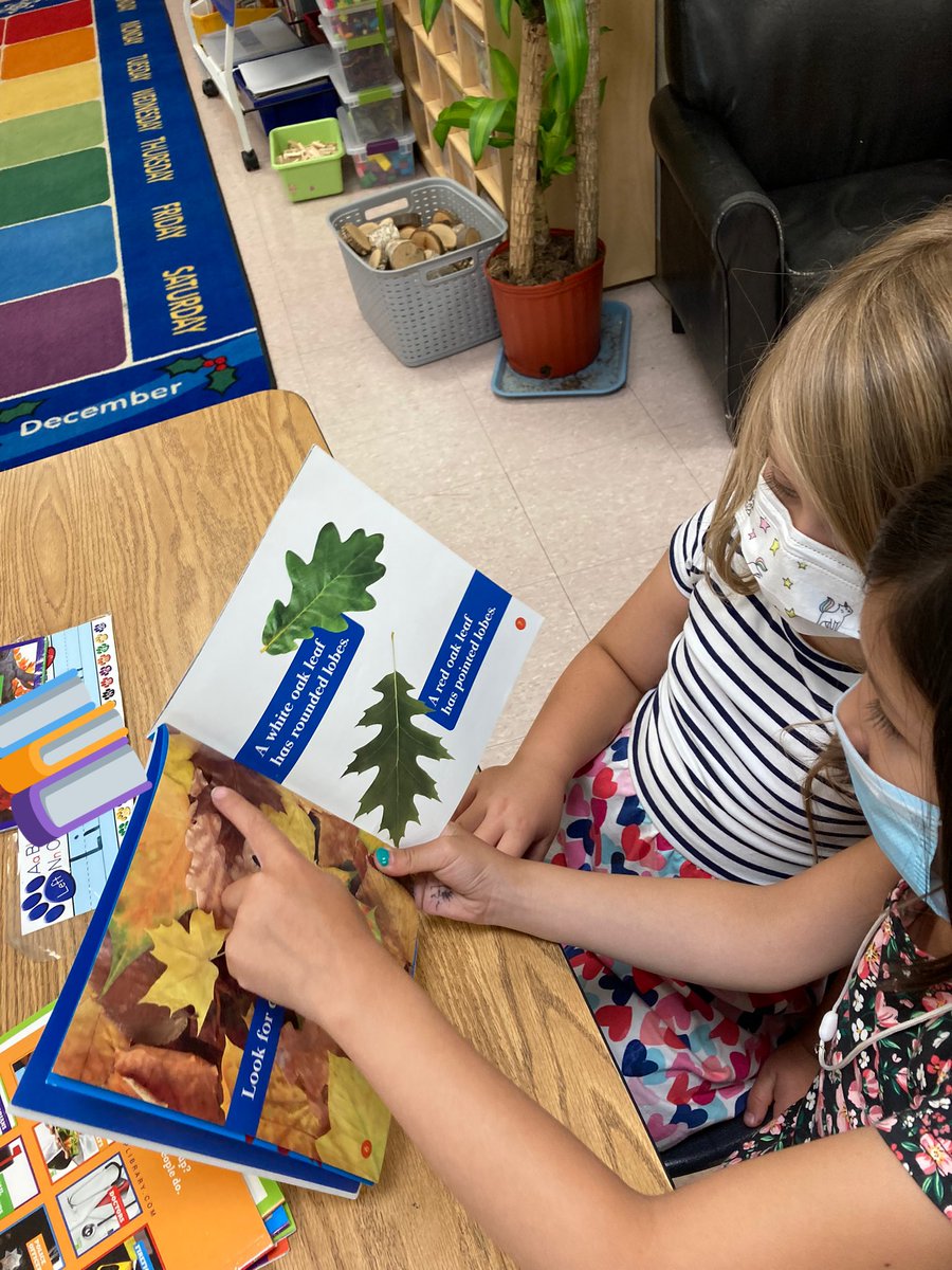 MrsLansdell's tweet image. We can read by yourselves 💁🏽‍♂️ AND with a partner 💁🏻‍♀️💁🏼‍♀️! #learningroutines #readers #TCRWP #FCEfish #StrongerTogether @FCEhse