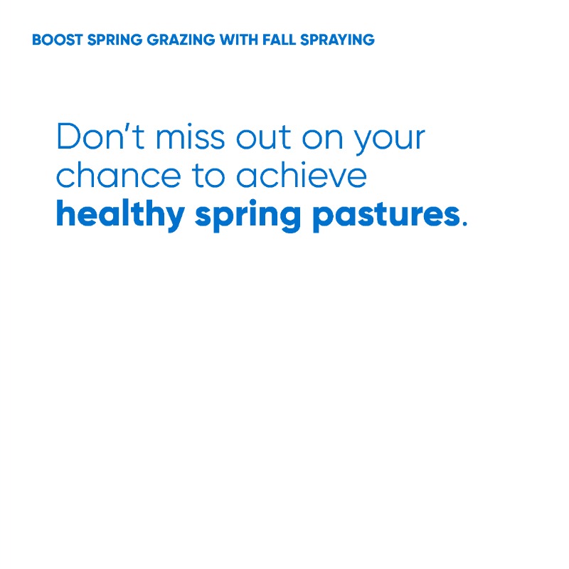 CortevaPastures's tweet photo. Increase your spring pasture potential! Learn how spraying weeds in the fall can help.