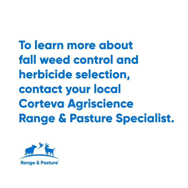 CortevaPastures's tweet photo. Increase your spring pasture potential! Learn how spraying weeds in the fall can help.
