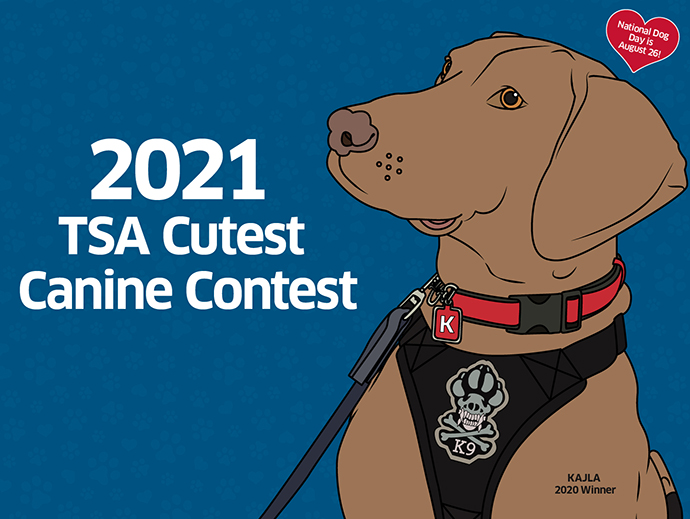 K9 Facts: TSA's Canine Training Center is located at Joint Base San Antonio-Lackland in San Antonio, TX. The program is the largest explosives detection canine program in <a href="/DHSgov/">Homeland Security</a> and the second largest in the federal government after the @DeptofDefense.