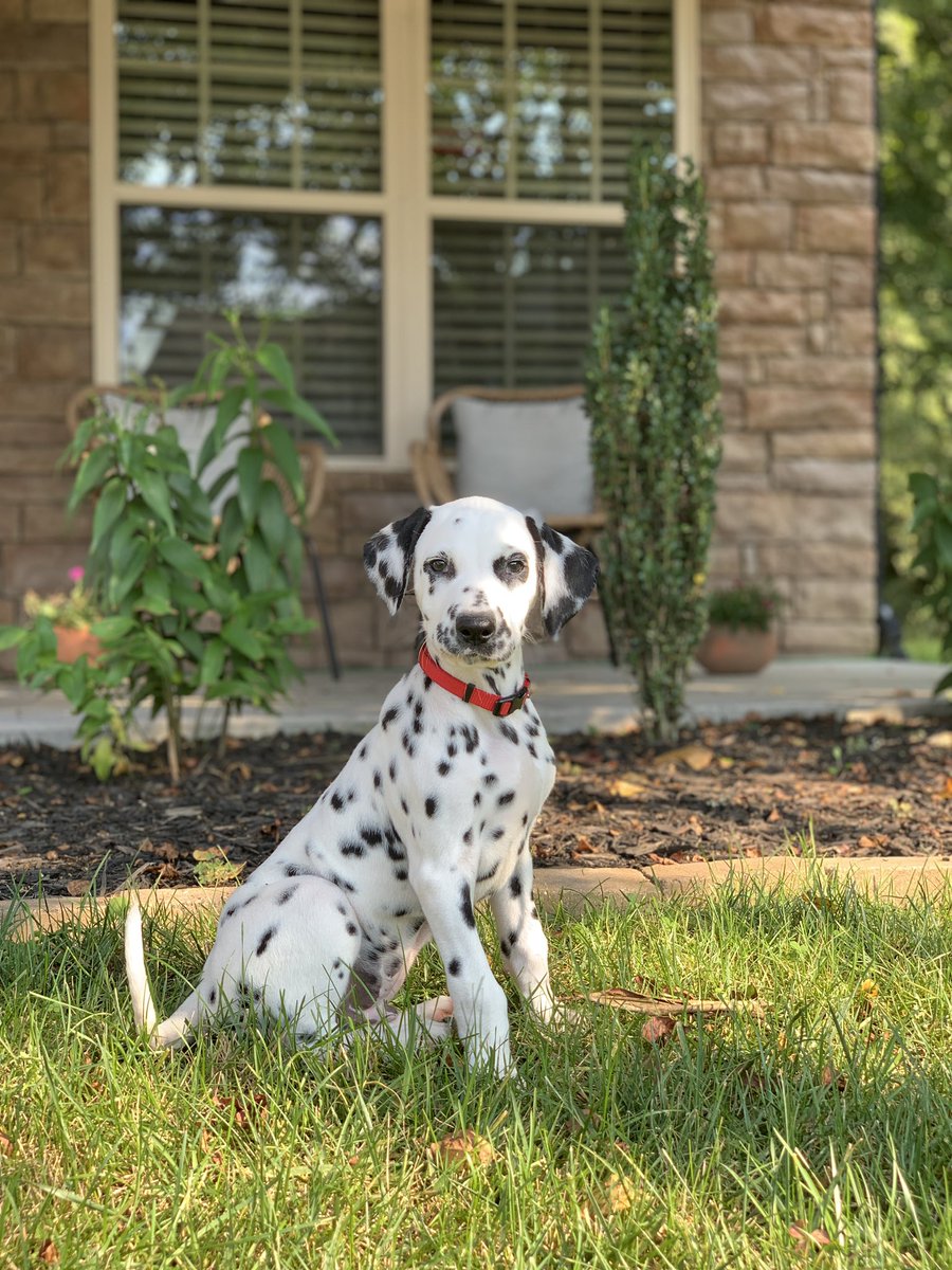 You can tell he knows he’s handsome