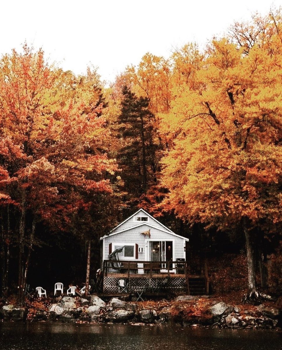 seasonaIvibes's tweet image. rt if you’re ready 🍂🍁