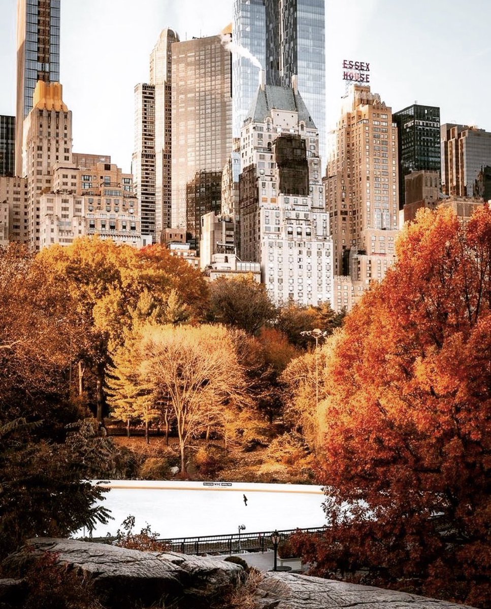 seasonaIvibes's tweet image. rt if you’re ready 🍂🍁