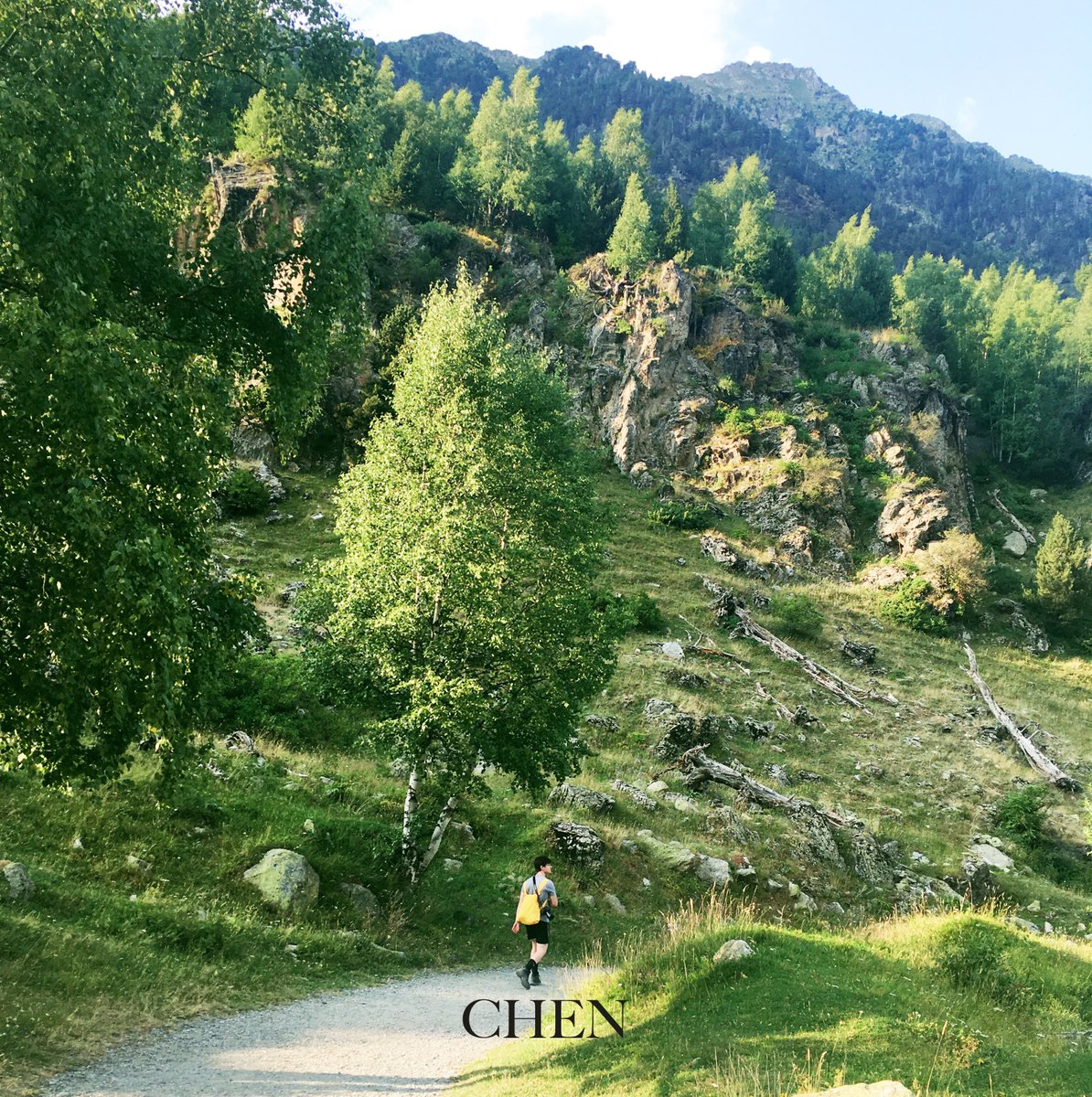 noirjjong's tweet photo. #CHEN solo albums as pictures I took on my camping trip 🌿 #JONGDAE #EXO #aprilandaflower #dearmydear #김종대 https://t.co/qniBFQEjoa