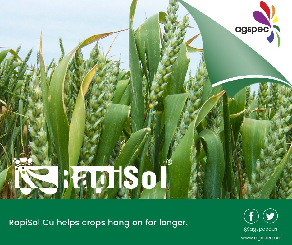 Rapisol EDTA is compatable with UAN and Post-emergent products.