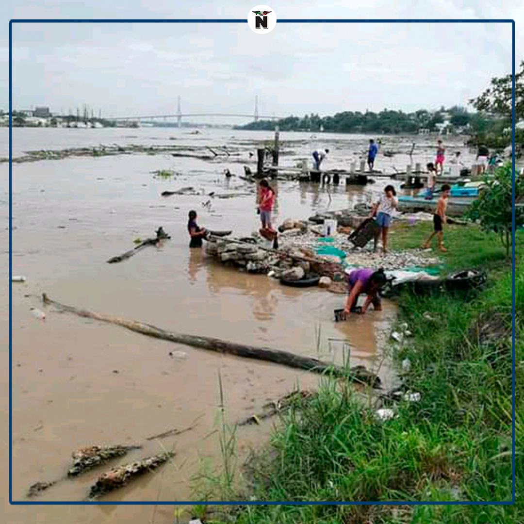 elmananarey's tweet photo. #TAMPICO | 🐟 #Pescadores en la zona conurbada han aprovechado la creciente del #ríoPánuco para poder capturar grandes cantidades de #peces de todos los tamaños, entre los que destacan los #robalos.

Más información aquí ➡️ https://t.co/ShDXQLzRWc https://t.co/9LxKKBbm1m