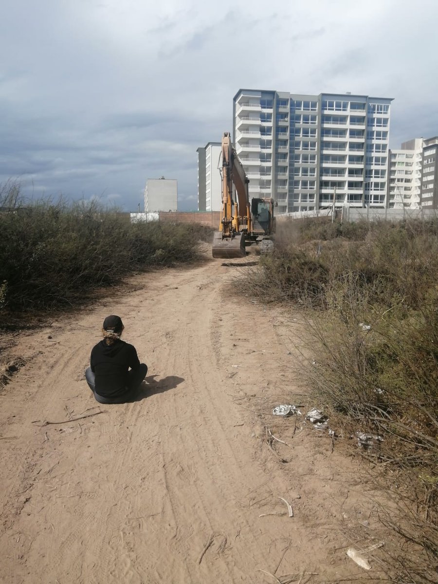 humedalelqui's tweet photo. Hoy se iniciaron los trabajos de maquinaria en el mayor ecosistema de #laserena, afortunadamente por hoy se lograron detener! Ella sin temor se pego el plantón y dijo altoooo! 😍😍 @redhumedales @RedHumedalesCH @cdad_humedal #Heroinadeldia https://t.co/5JkPKPxkcZ