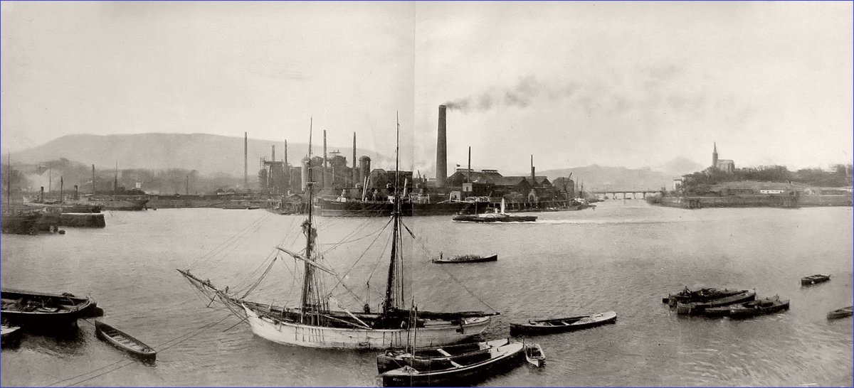 JosebaUgarriza tweet media