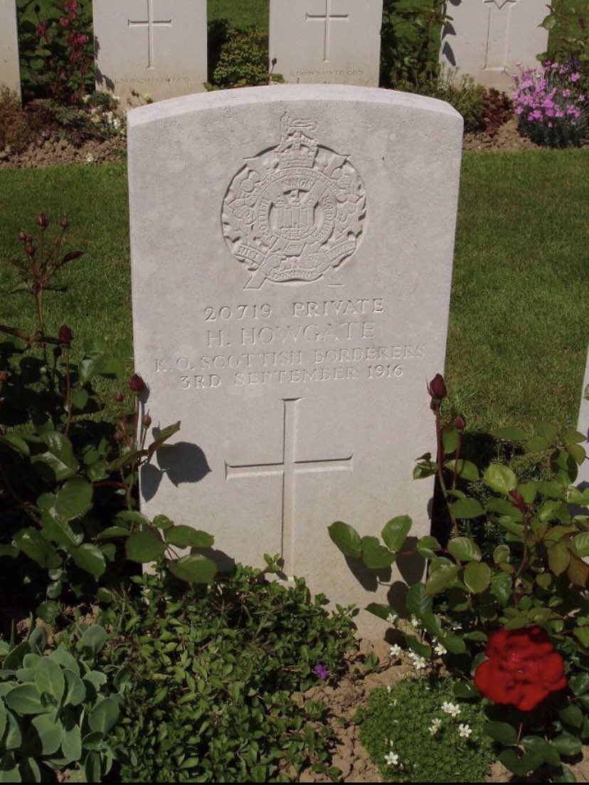 Andy Howgate tweet media