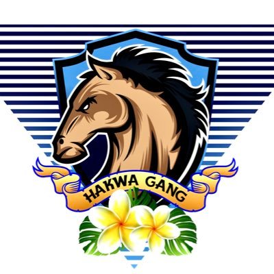 its_T3vibes's tweet photo. Love this for Fiji❤❤🇫🇯 Can't wait to see other Nation's Logo's
#YobaNation #JekiaGang #HakwaGang #GatoNation https://t.co/M0rcaruwKl
