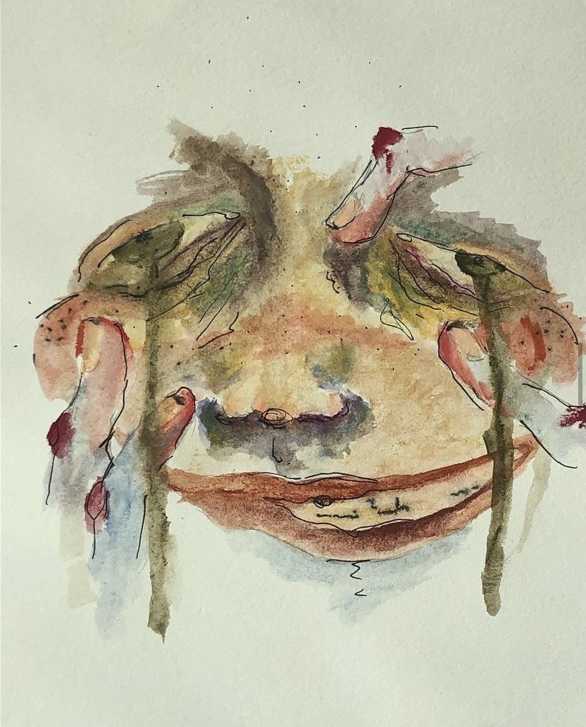 Madison Bryan tweet media