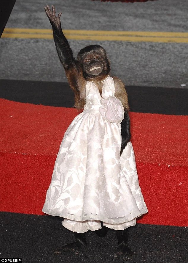 Jude Tedmori tweet media