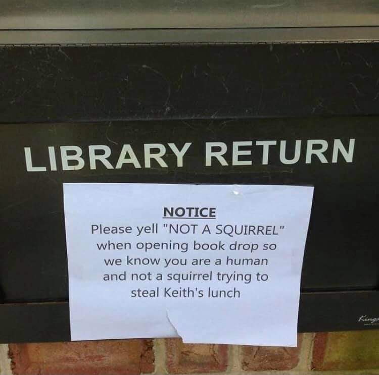 janine_opedia's tweet image. Saw this and immediately thought of @KeithHabs 🤣 #notasquirrel