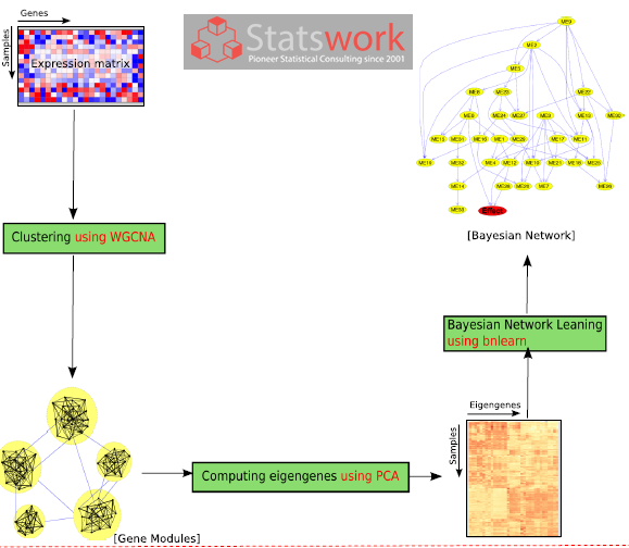 Statswork's tweet image. Involvement of Bayesian network models in predicting various types of hematological malignancies: bit.ly/3jajCRJ
#Statswork #rdataanalysis #dataanalysisservice #StatisticaldataAnalysis #statisticsdata #metaanaysis #datacollectionservices