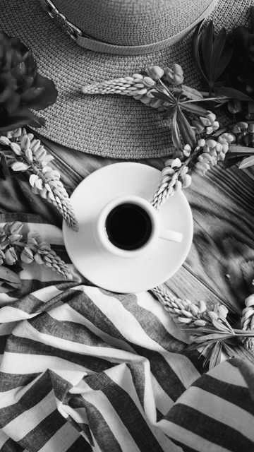 اللهم أرزقنا راحة البال وسكينة القلب.🤍
 رشفة قهوة وبداية يوم جديد☕️