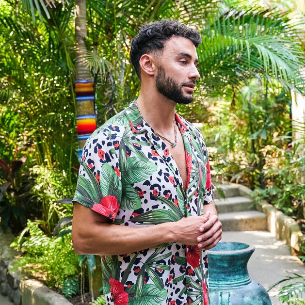 cshillz's tweet photo. The men on #BachelorInParadise seem very inspired by Dan Flashes 

#complicatedpatterns https://t.co/H84uxzS76P