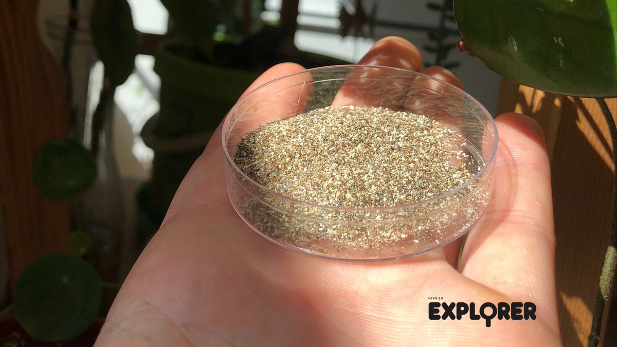 Use #mealworm #poop to grow #plants!🌱#growyourown
 
Frass is an #organic and valuable #fertilizer that is #sustainable and less harmful to our #environment. 💩

Learn more about #frass in our quick guide: bit.ly/InsectFrass or grown microgreens bit.ly/MicrogreensBlo… 🌿