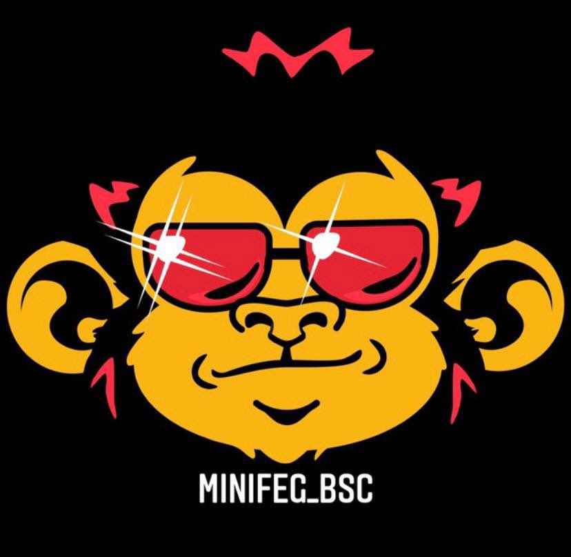 dillon58739053's tweet photo. @angel_funsized @mini_feg_backup #minifeg team is 100% legit safu. Donโt sleep on this project. Chart doesnโt look too pretty atm but once a bit of momentum kicks in thereโs no stopping us!! Lfg๐๐ https://t.co/9tJlZcbNP3