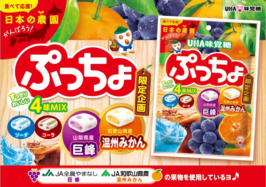 ぷっちょ4種アソート ＃リニューアル したで～📣 ＼ 今回の味は.. 定番