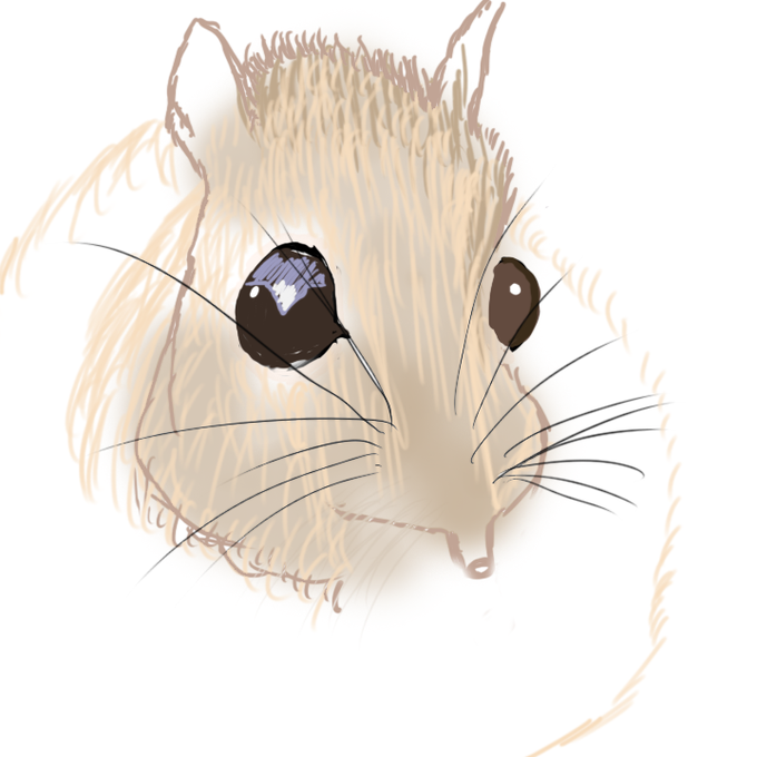 ハネジネズミのtwitterイラスト検索結果 ハネジネズミのtwitterイラスト検索結果