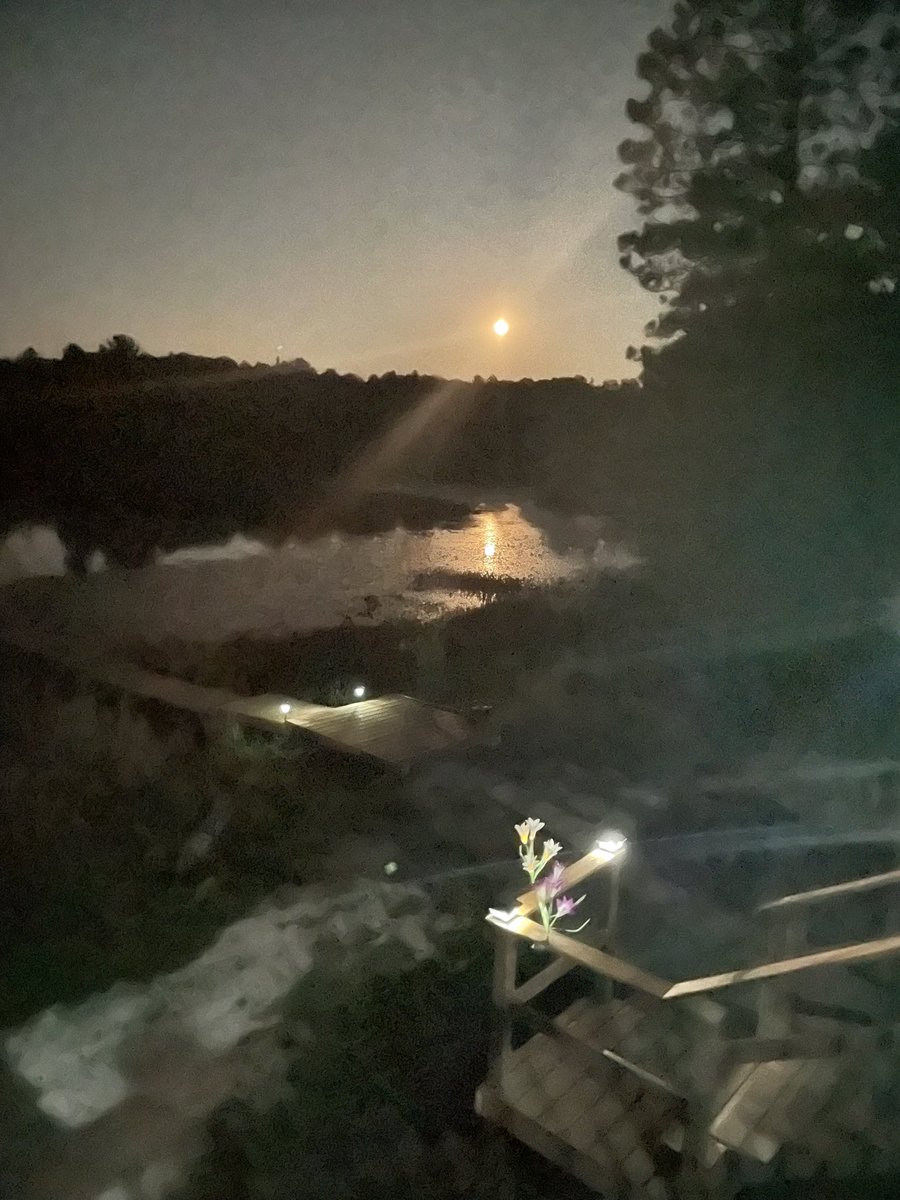 Sometimes…… you just have to hit pause #lifeatthecabin