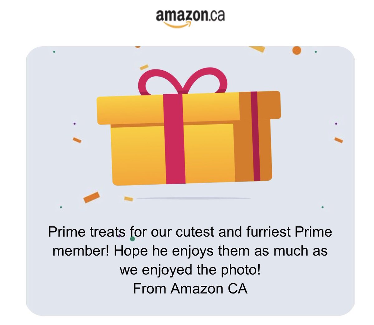 ConnyCurrently's tweet photo. How awesome is this?!? Amazon heard that Cookie was a fan and sent him his very own #Prime delivery of awesome hamster treats and toys! Now he is living his best life and it made my day too! 🥺😍
Thank you @amazonca!
#Amazon #Amazonprime #hamster #bestdayever https://t.co/PN3ltKd2mB